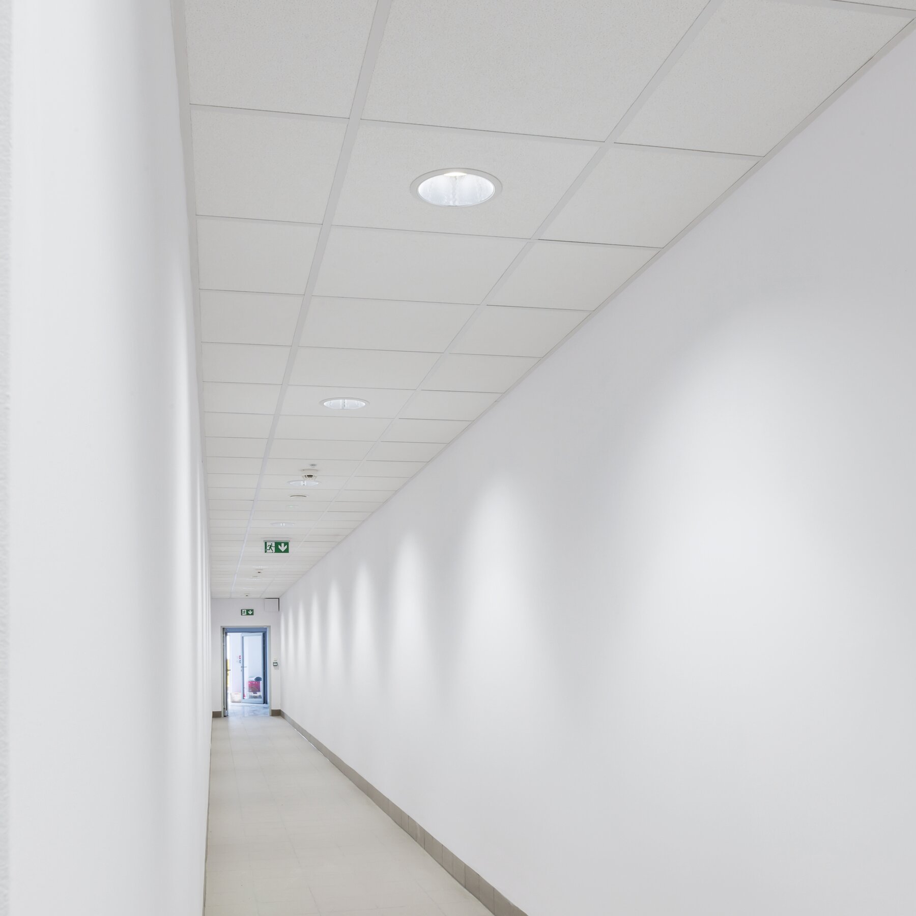 Bari ECO DL LED - PXF Lighting